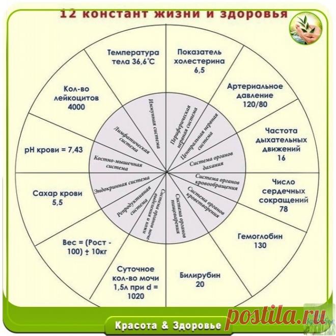 QhF9y8KyZ04.jpg (694×693)