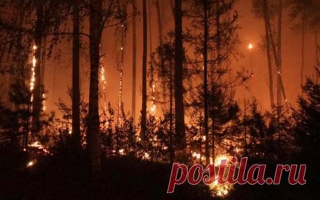 Поезда из закрытого города Саров в Москву отменены из-за лесных пожаров. Движение поездов из закрытого города Саров в Москву приостановлено из-за лесных пожаров, огонь охватил участок, где проходят железнодорожные пути.