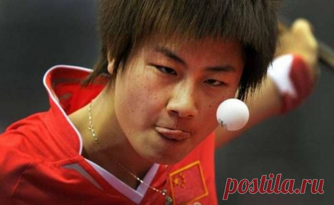 Прикольные фото настольный теннис | Настольный теннис глазами тренера