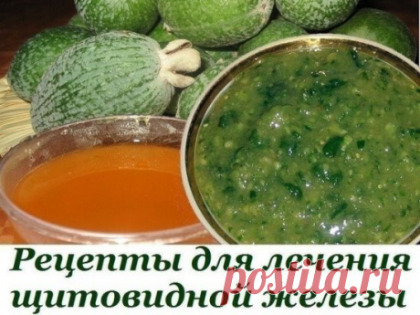 Рецепты для лечения щитовидной железы 
1. 1 кг сахара и 1 кг фейхоа пропустить через мясорубку, переложить в банку и дать настояться. Сахар должен полностью раствориться, а фейхоа дать сок. Принимать эту смесь по 1 ст. ложке утром и вечером. Принимать 10 дней, затем перерыв 10 дней. 
2. Можно чередовать со следующим рецептом: 1 стакан перегородок грецких орехов залить 0,5 л водки и 10 дней настоять. Пить по 1 ч. ложке утром перед едой. 10 дней пить, 10 дней — перерыв. Месяц — фейхоа, месяц — п
