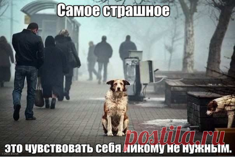 Надо быть нужным и заботиться о других!