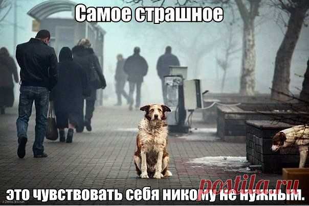 Надо быть нужным и заботиться о других!