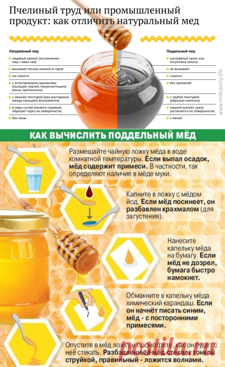 Как отличить настоящий мёд от подделки? 11 способов проверки