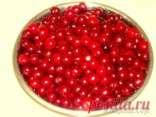 Моя вишневка