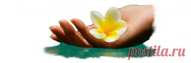 to-buybook.ru/5lis.html