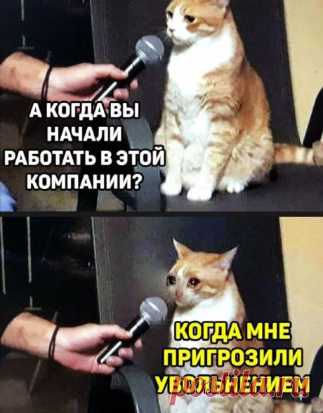 Работа - 23.12.22 08:36 | Пикабу