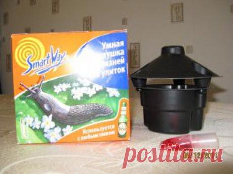 Ловушка для слизней и улиток. | Дача 21 Века!