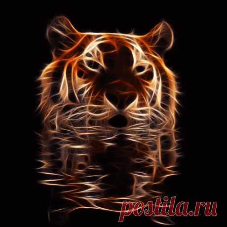 тигр