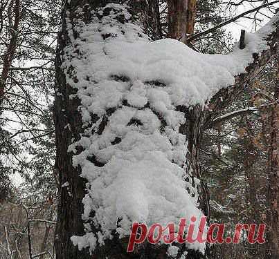(11) Facebook