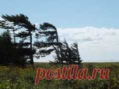 Одноклассники