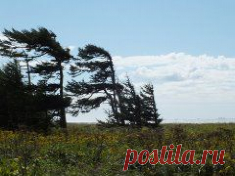 Одноклассники