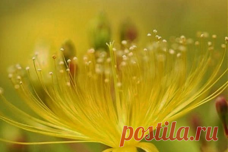 26 марта 2014 г.