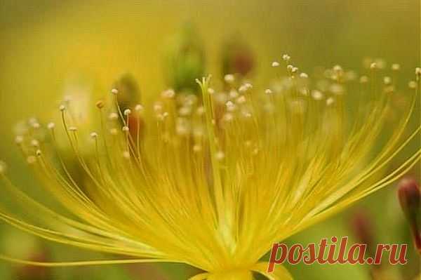 26 марта 2014 г.