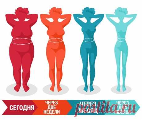 Интересные новости     ПРАВИЛА ПОХУДЕНИЯ, КОТОРЫЕ ДОЛЖНА ЗНАТЬ КАЖДАЯ ЖЕНЩИНА