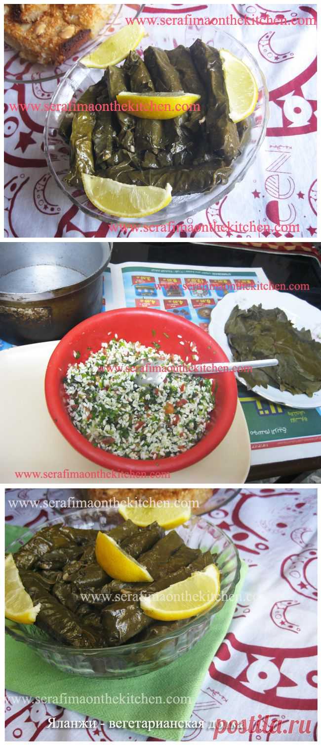 Яланжи. Вегетарианская долма в виноградных листьях. Арабская кухня.
