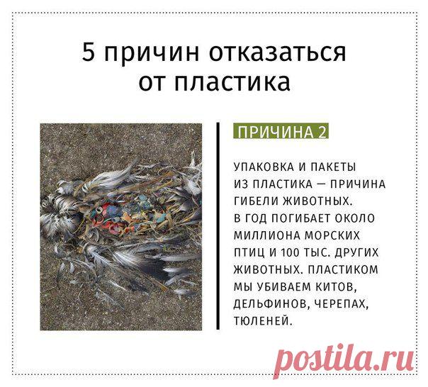 старайтесь постепенно уменьшать использование пластиковых пакетов и бутылок.