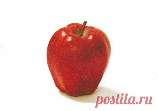 Практическая психология | Фрейд