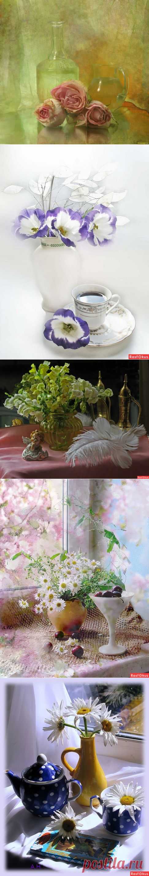 Фотонатюрморты с цветами