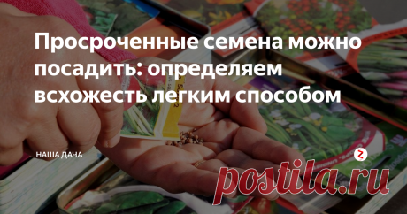 Просроченные семена можно посадить: определяем всхожесть легким способом Наводила порядок сегодня на кухне, заодно «перетрясла» кухонные ящики. Обнаружила «стратегический запас» семян: бархатцы, перец, кабачки, зелень, морковь…  Естественно, семена оказались с истекшим сроком годности, этот факт легко определить по штампу на пакетике. Выкинуть в помойку красивые упаковки рука не поднялась,  в голову закралась крамольная мысль «а что, если…»