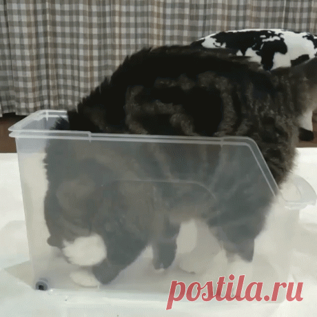 УПАКОВАЛСЯ