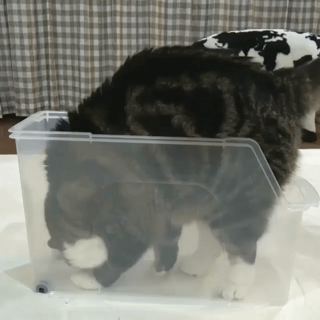 УПАКОВАЛСЯ