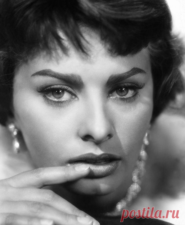 Ах! Какая женщина! Софи́я Вилла́ни Шиколо́не