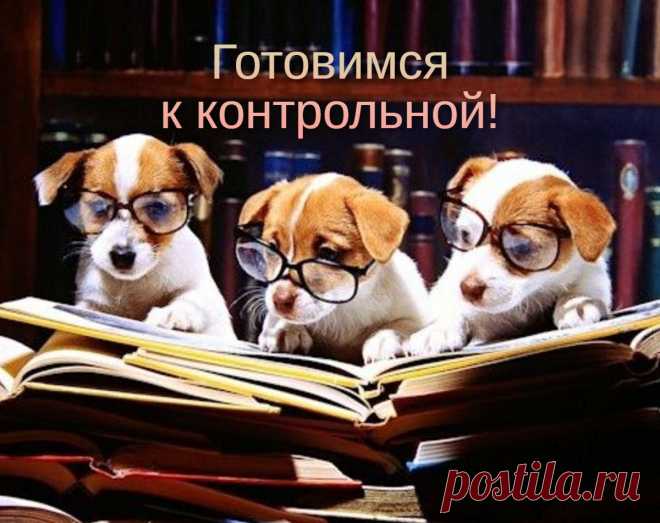 И снова про контрольные! Решите пятую задачку? | Просто училка | Яндекс Дзен