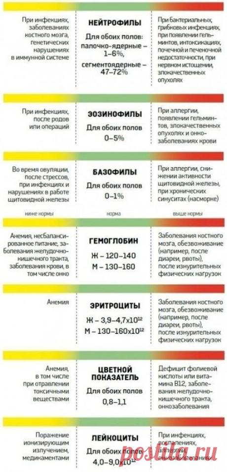 О чем расскажет анализ крови?