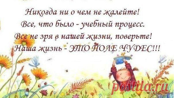 Интересные новости