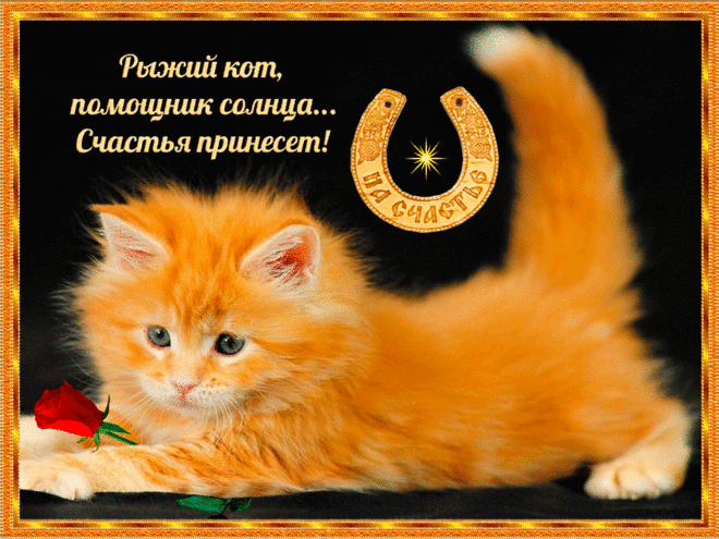 Профиль пользователя Людмила (Людмила)