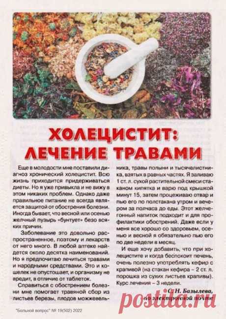 Холецистит: лечение травами