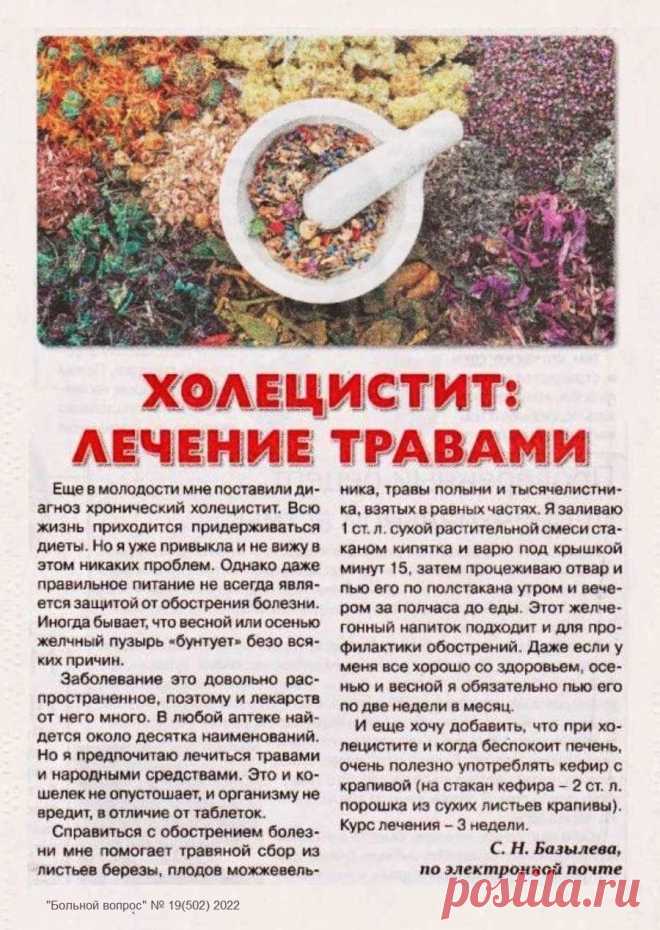 Холецистит: лечение травами