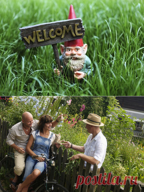 Магия для большого урожая | Записки ведуньи | Яндекс Дзен