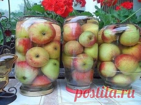 Яблоки с запахом лета! Мочёные яблочки