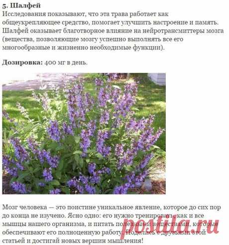 РАССЕЯННОСТЬ, СОНЛИВОСТЬ И УСТАЛОСТЬ.... | Познавательный сайт ,,1000 мелочей&quot;