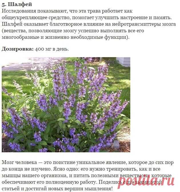 РАССЕЯННОСТЬ, СОНЛИВОСТЬ И УСТАЛОСТЬ.... | Познавательный сайт ,,1000 мелочей"