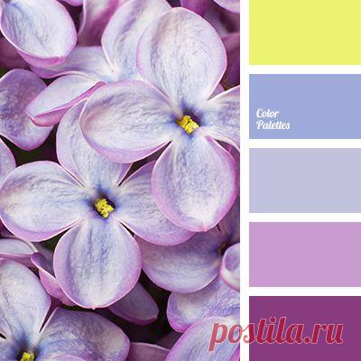 Pinterest: Discover and save creative ideas