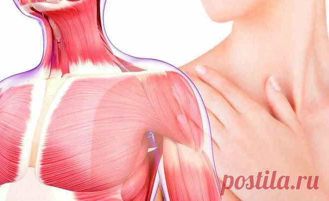 Щипковый массаж декольте, чтобы лицо на место встало | ✧Сама себе косметолог✧ | Яндекс Дзен