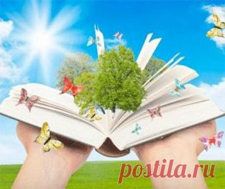 Правила личной дисциплины. Они облегчат вам жизнь