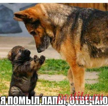 ❃ ❃ ❃...ЖИЗНЬ ХОРОША, иɯʎdʞ ин ʞɐʞ...❃ ❃ ❃