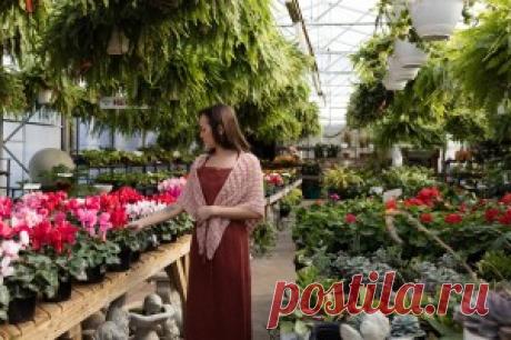 Шаль ажурным узором Higgins - Вяжи.ру