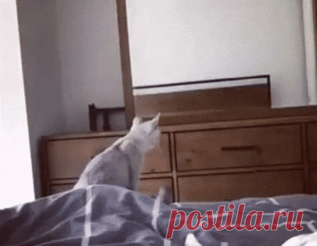 Не поверил своим глазам что это его уши