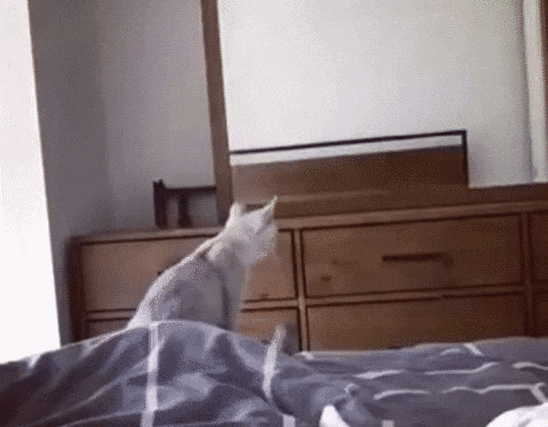 Не поверил своим глазам что это его уши