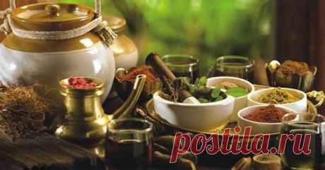 Мы даже порой не догадываемся, что наше отношение к сотрапезникам – влияние глубокой древности, так сказать, память крови, отражение тех далеких времен, когда преломленный хлеб был гарантией того, что этот человек никогда не станет врагом, не нападет со спины. Убить гостя, которого перед этим - 16 января - 43920847718 - Медиаплатформа МирТесен