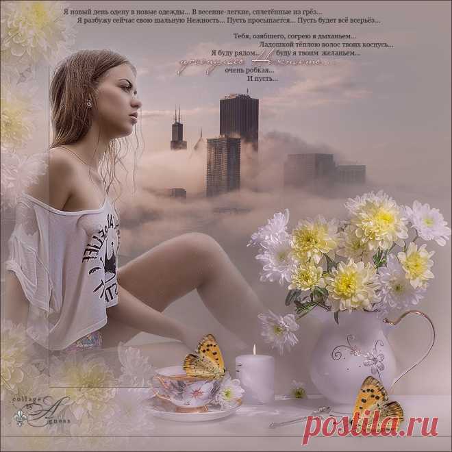 Плейкаст «Проснулась нежность...»