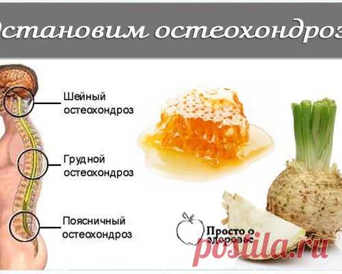 Темы дня
