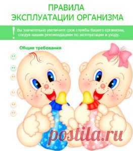 Истоки здоровья: Организм