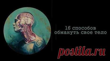 16 способов обмануть свое тело (сохраняем себе)

1. Если у вас сильно першит горло
Помассируйте мочку вашего уха. Это активирует ушные рецепторы и рефлекторно вызовет спазм в горле, который облегчит першение.

2. Если вам трудно расслышать бормотание собеседника
Поверните к нему правое ухо, так как оно лучше слышит быструю невнятную речь. А тихую мелодию поможет лучше расслышать левое ухо, так как оно более чутко улавливает музыкальные переливы.

3. Если у вас затекла рука...