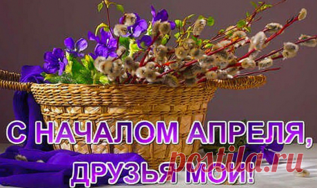 Я люблю ✿ ЦВЕТЫ ✿ | I ♥ Flowers