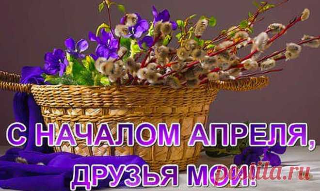Я люблю ✿ ЦВЕТЫ ✿ | I ♥ Flowers
